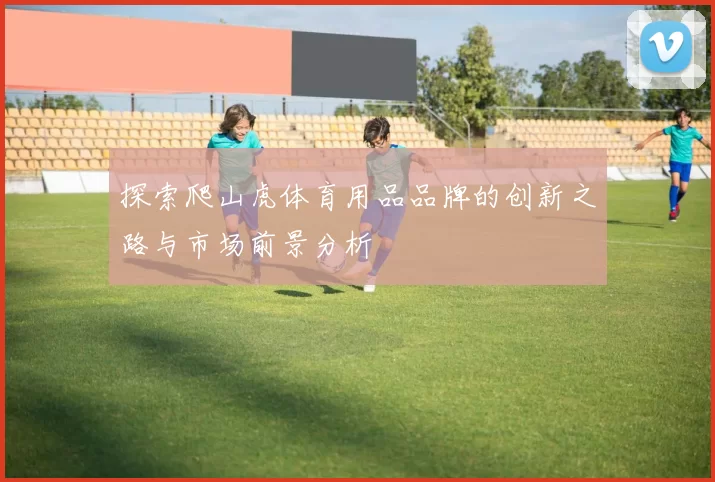 探索爬山虎体育用品品牌的创新之路与市场前景分析