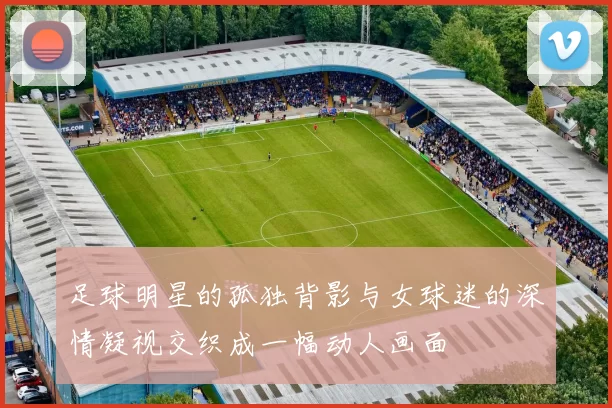 足球明星的孤独背影与女球迷的深情凝视交织成一幅动人画面